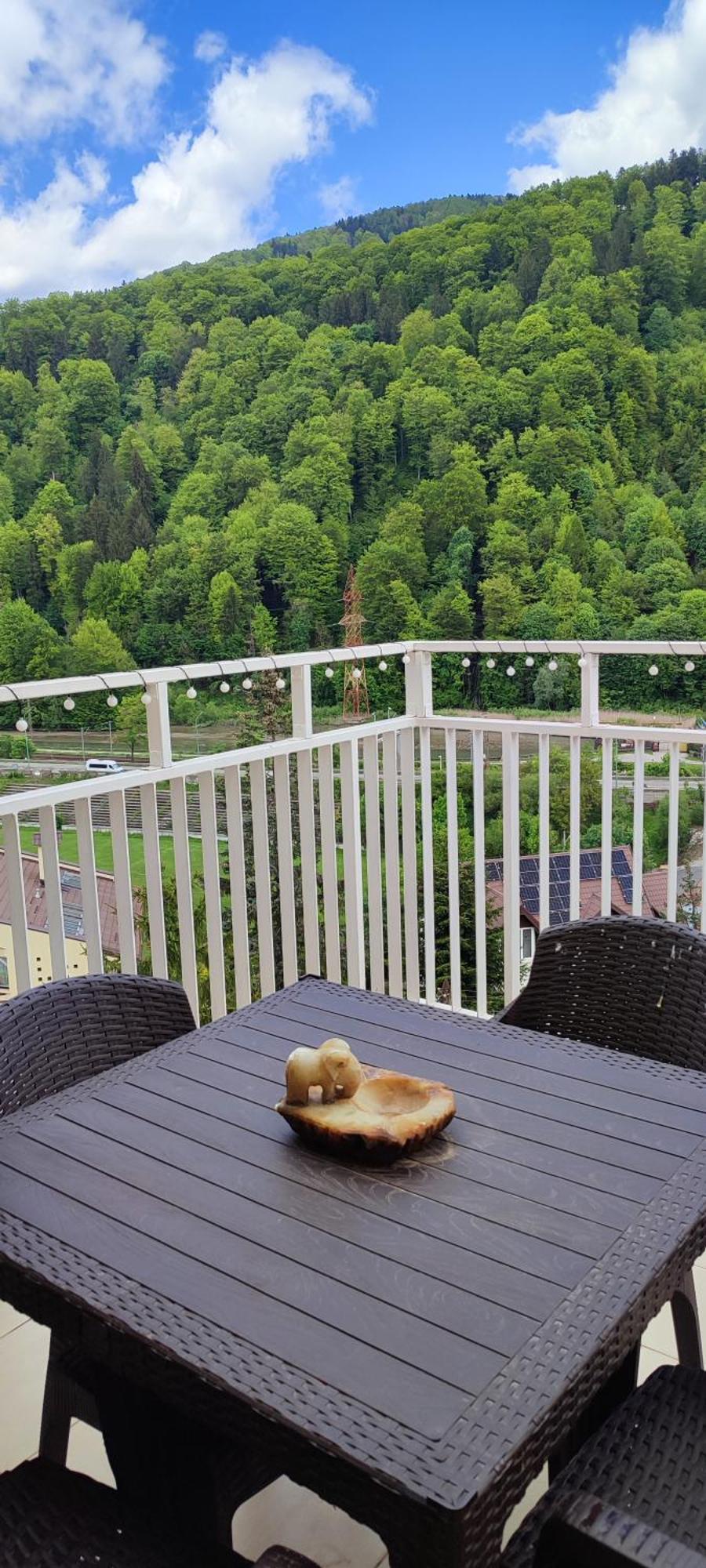 Duplex Belle View Sinaia-Free Parking Apartman Kültér fotó