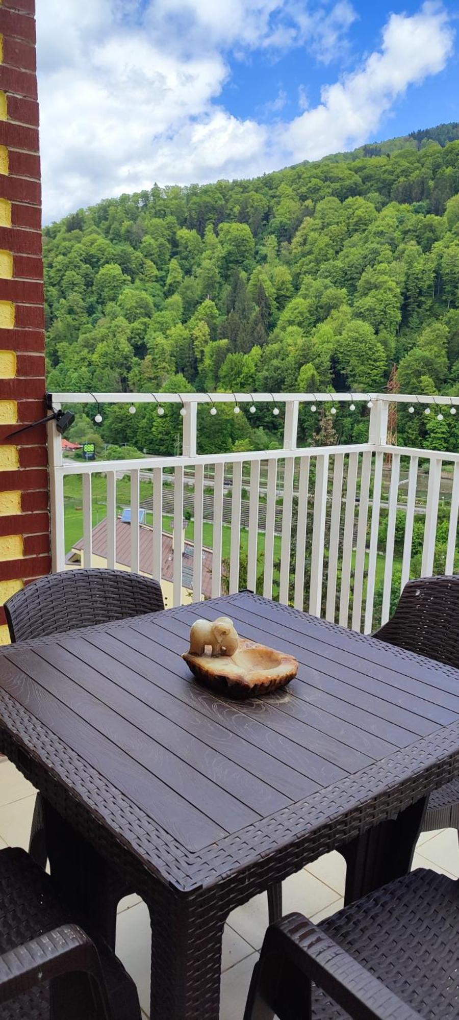 Duplex Belle View Sinaia-Free Parking Apartman Kültér fotó