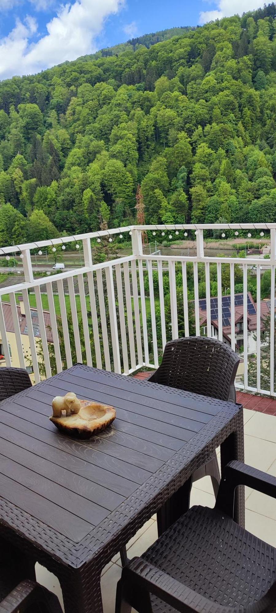 Duplex Belle View Sinaia-Free Parking Apartman Kültér fotó